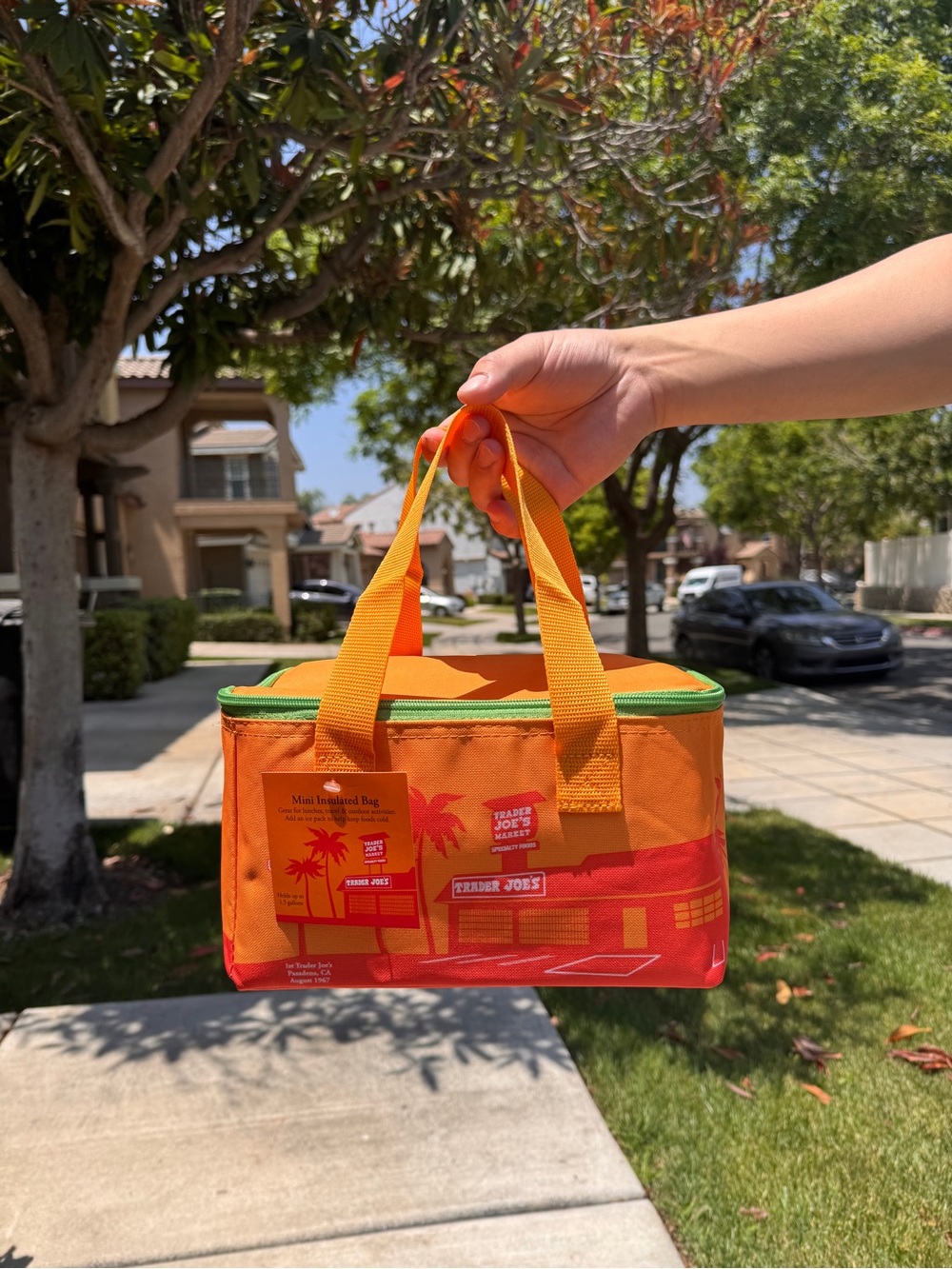 Trader Joe's Orange Mini Insulated Bag